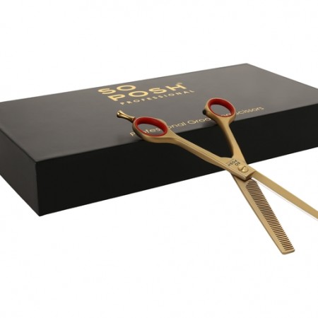 Posh Gold - 6,5